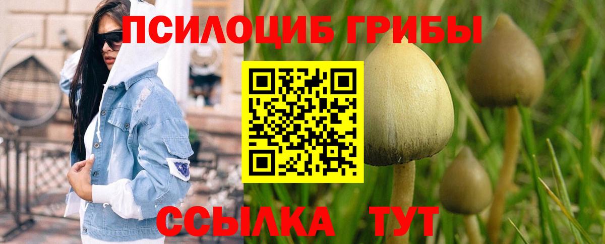 Галлюциногенные грибы Psilocybine cubensis Удомля